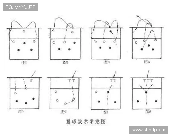 北京排球队的战术节奏分析与未来发展展望 北京排球队的战术节奏分析与未来发展展望