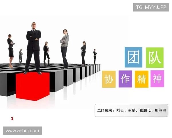 武汉飞盘队团队协作表现的数据分析与提升策略探讨 武汉飞盘队团队协作表现的数据分析与提升策略探讨