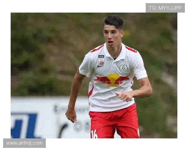 索博斯洛伊的魅力探秘与历史渊源深度解析之旅