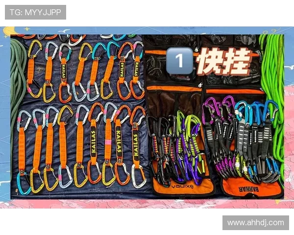 攀岩新手必看：快速掌握技巧与装备的全面入门指南