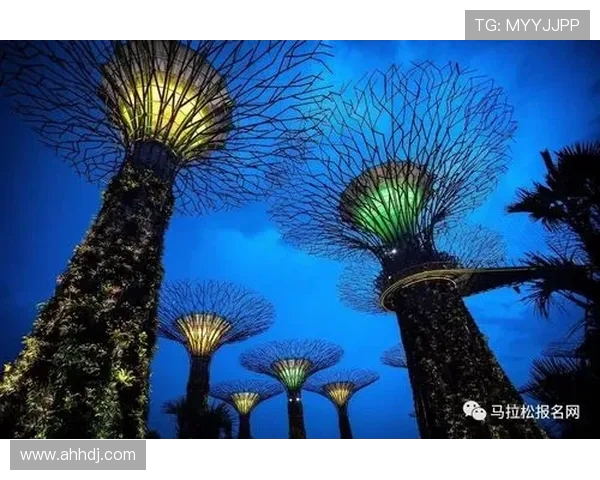 广州飞盘队勇攀马拉松大满贯巅峰的奋斗历程与精彩瞬间