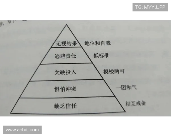 武汉羽毛球队在邀请赛中的团队协作表现分析与点评
